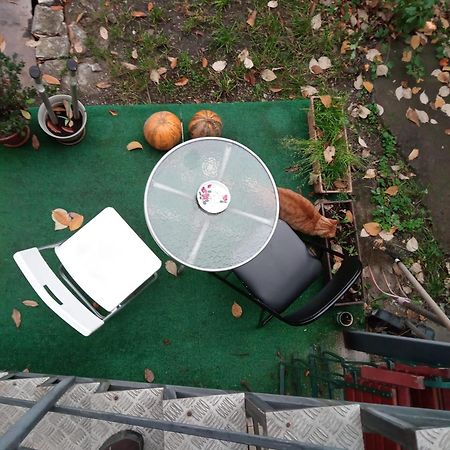 Apartament Cu Un Dormitor Spatios In Centrul Cluj-Napoca Buitenkant foto