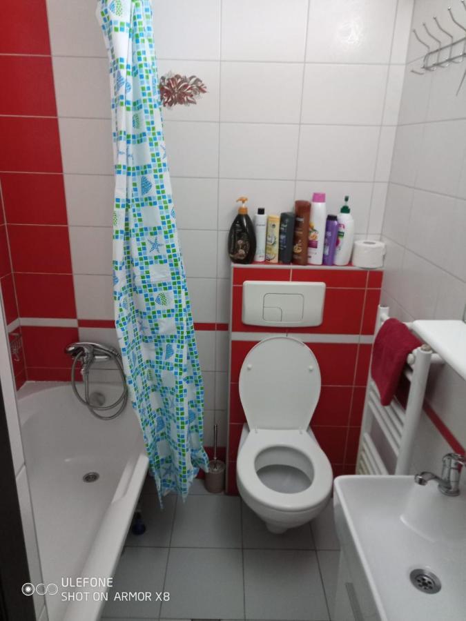 Apartament Cu Un Dormitor Spatios In Centrul Cluj-Napoca Buitenkant foto