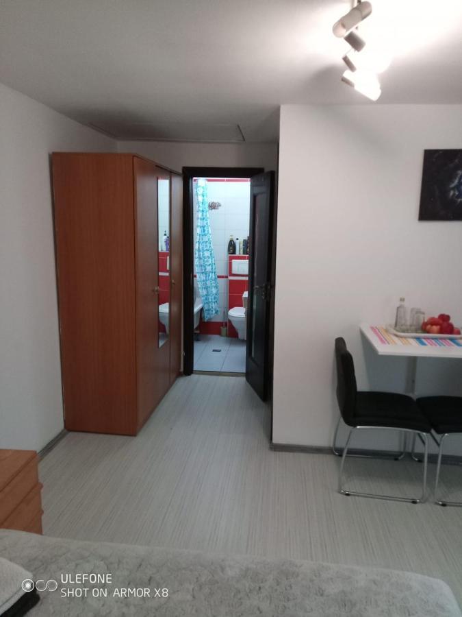 Apartament Cu Un Dormitor Spatios In Centrul Cluj-Napoca Buitenkant foto