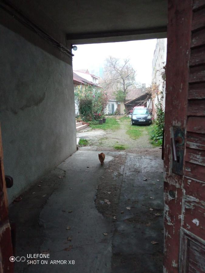 Apartament Cu Un Dormitor Spatios In Centrul Cluj-Napoca Buitenkant foto