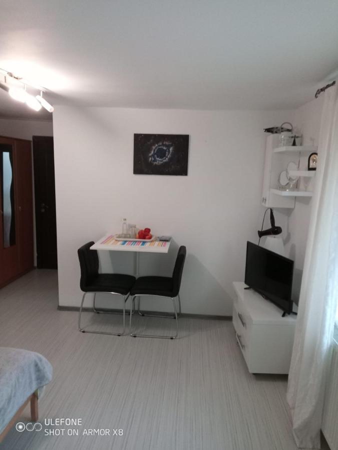 Apartament Cu Un Dormitor Spatios In Centrul Cluj-Napoca Buitenkant foto