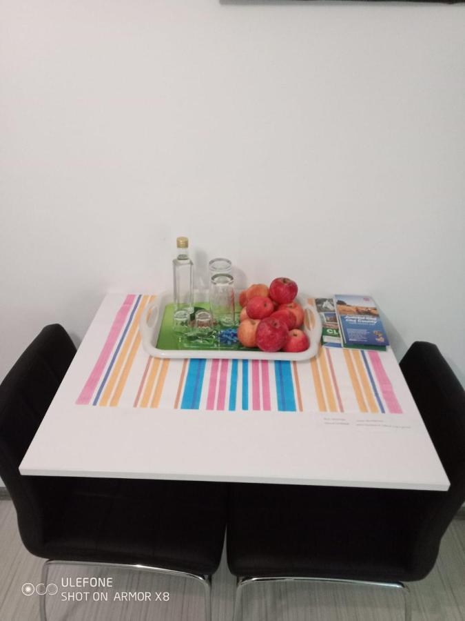 Apartament Cu Un Dormitor Spatios In Centrul Cluj-Napoca Buitenkant foto
