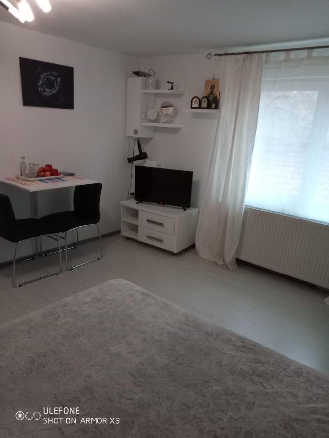 Apartament Cu Un Dormitor Spatios In Centrul Cluj-Napoca Buitenkant foto